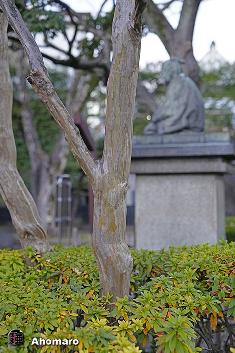 写真00