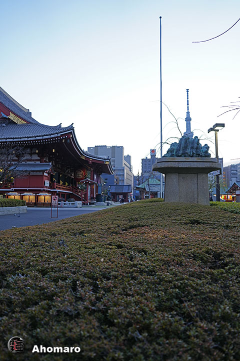 写真00