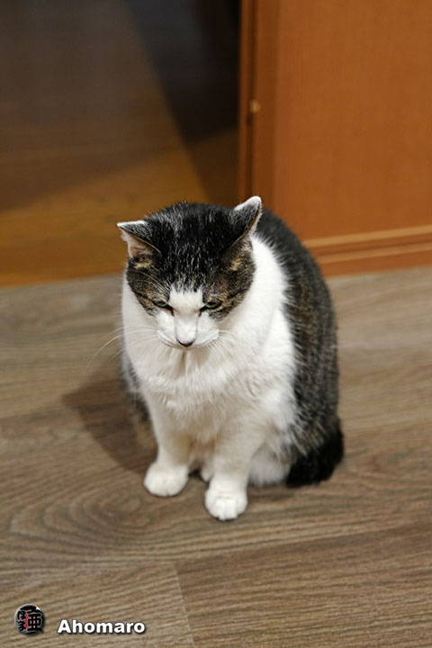 ʐ^00