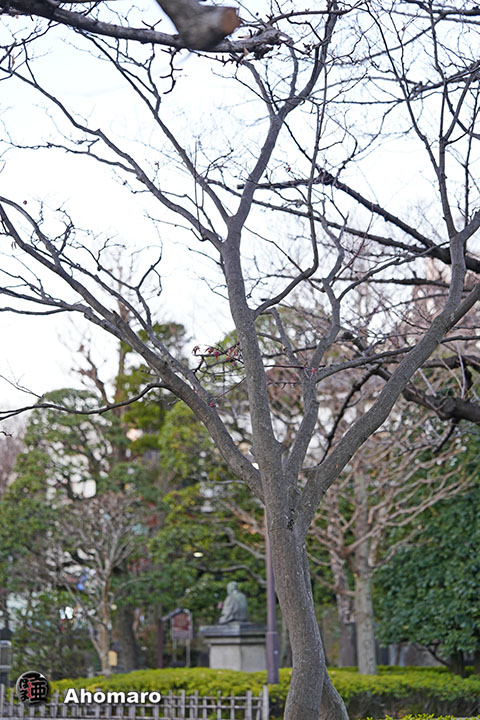 写真00