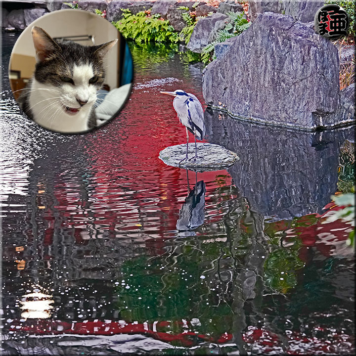 Lʐ^