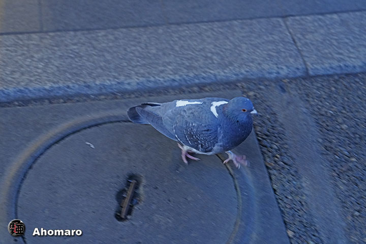 ʐ^00