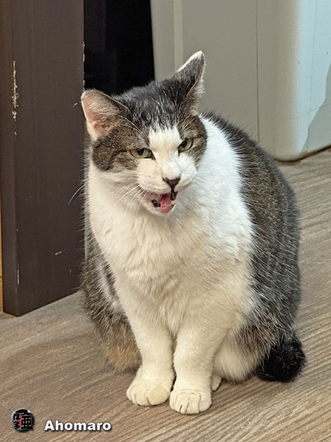 ʐ^00