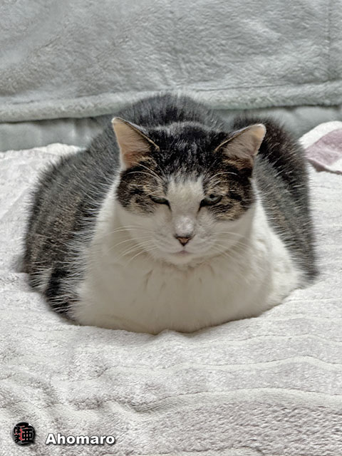 ʐ^00