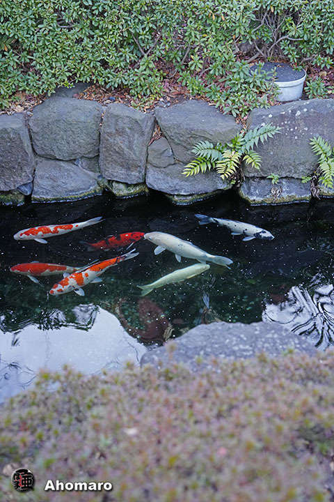写真00