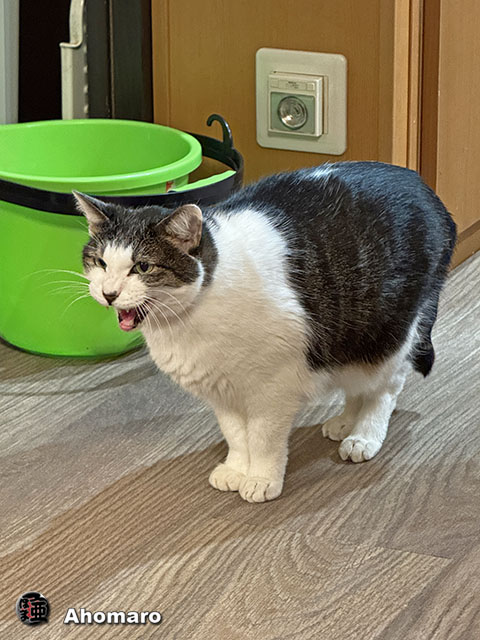 ʐ^00