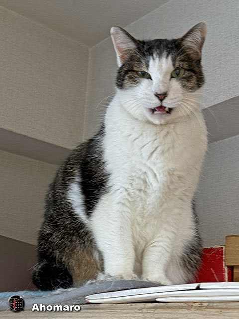 ʐ^00