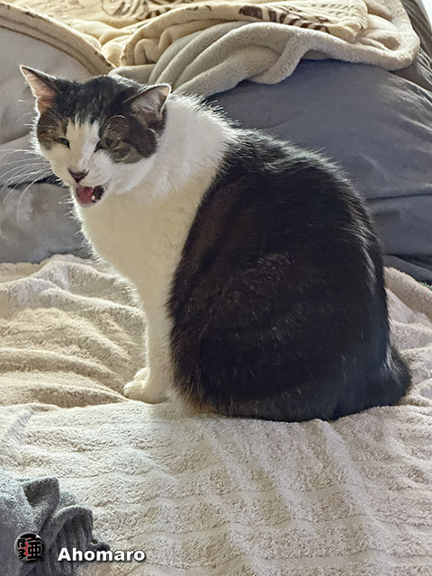ʐ^00