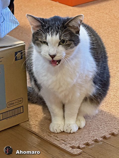 ʐ^00