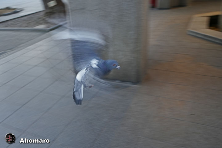 ʐ^00