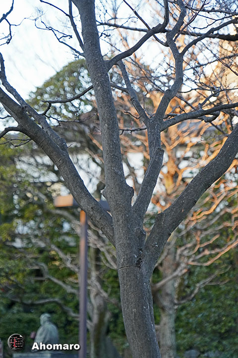 ʐ^00