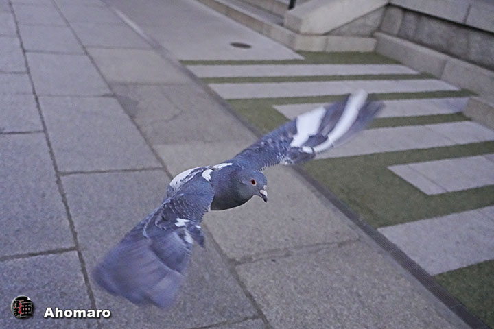 ʐ^00