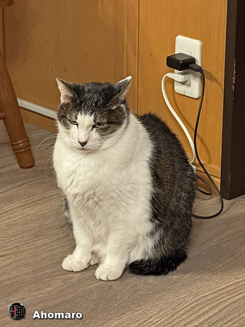ʐ^00
