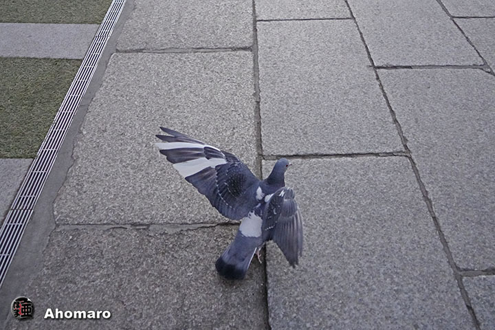 ʐ^00