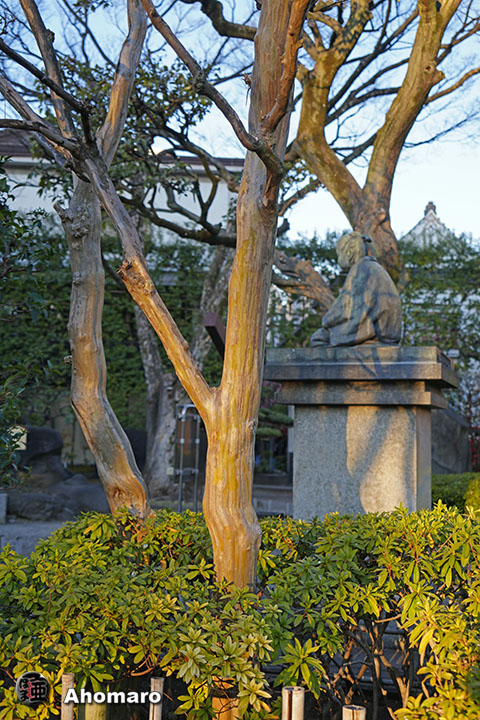 写真00