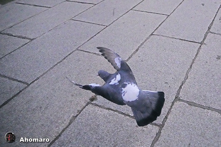 ʐ^00