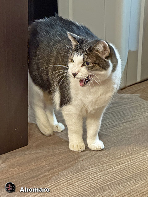 ʐ^00