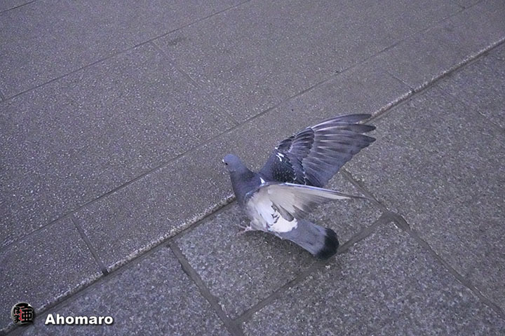 ʐ^00