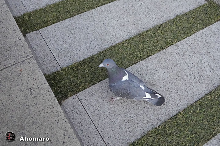 ʐ^00