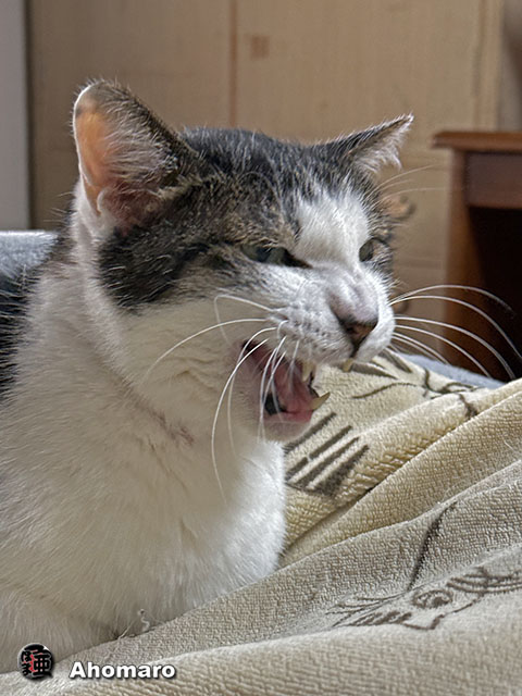 ʐ^00