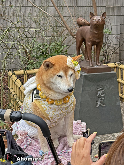 ʐ^00