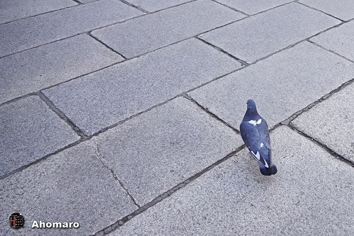ʐ^00