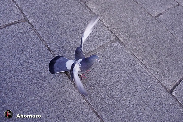 ʐ^00