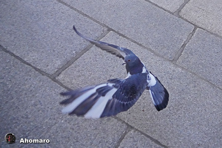 ʐ^00
