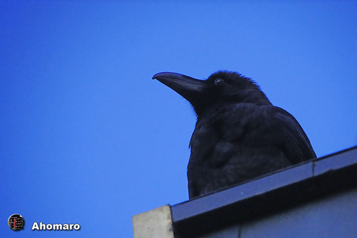 ʐ^00