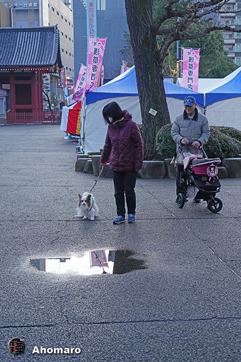 ʐ^00
