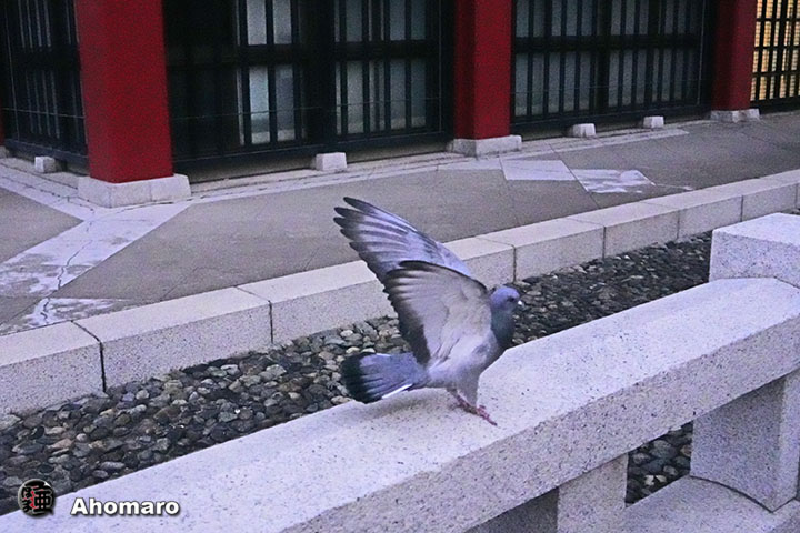 ʐ^00