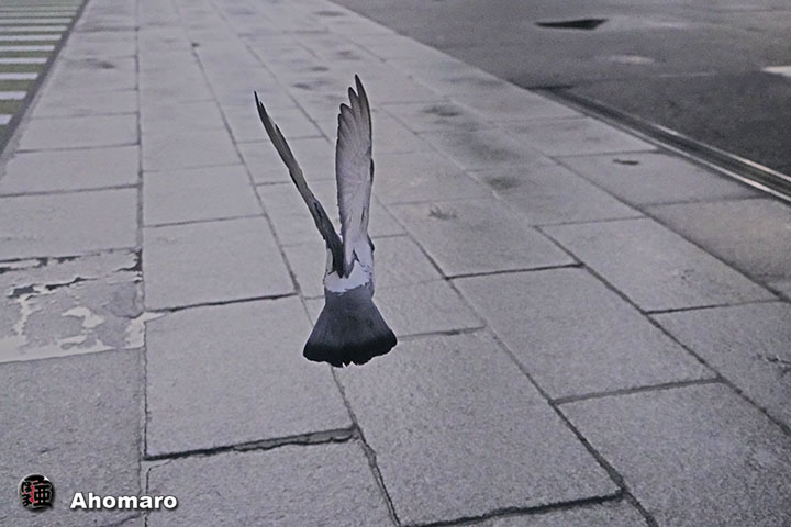 ʐ^00