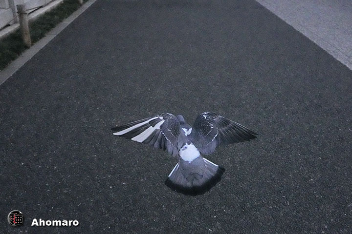 ʐ^00