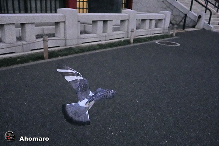 ʐ^00