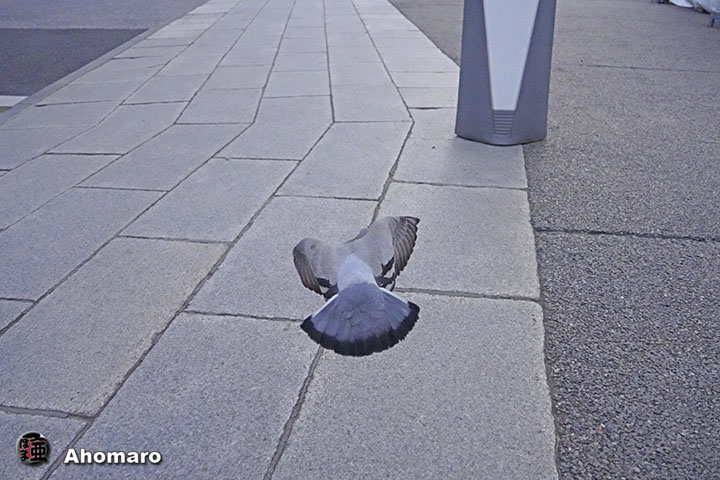 ʐ^00