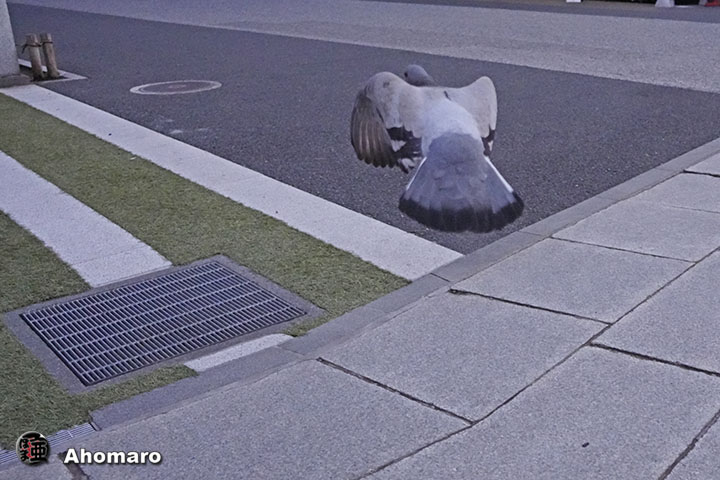 ʐ^00
