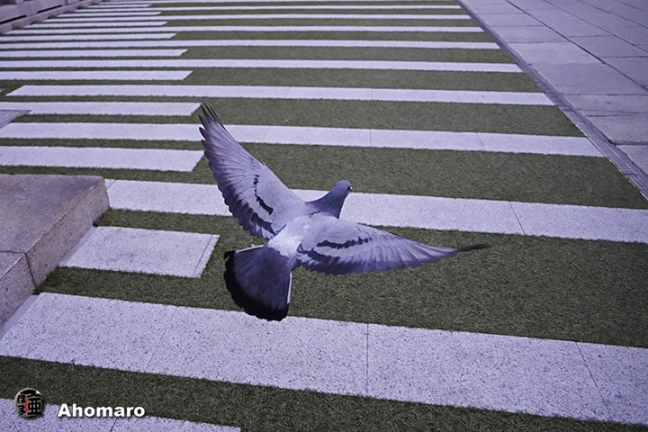 ʐ^00