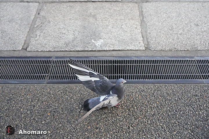 ʐ^00