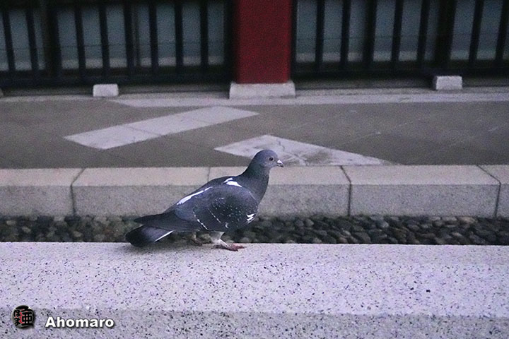 ʐ^00