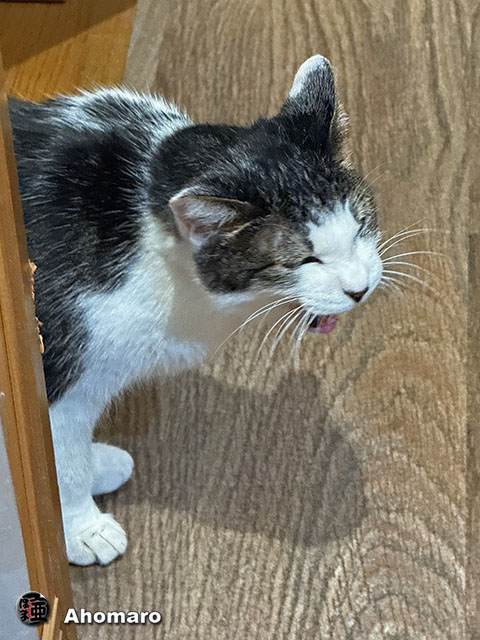 ʐ^00