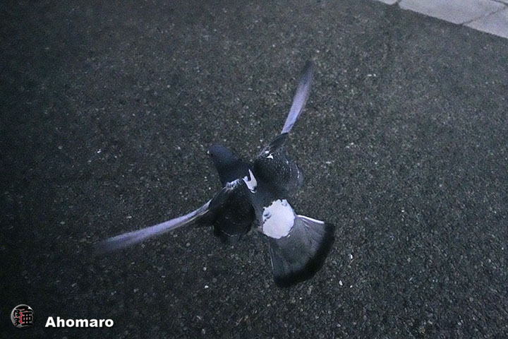 ʐ^00
