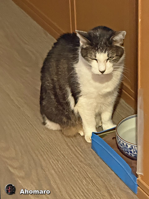ʐ^00