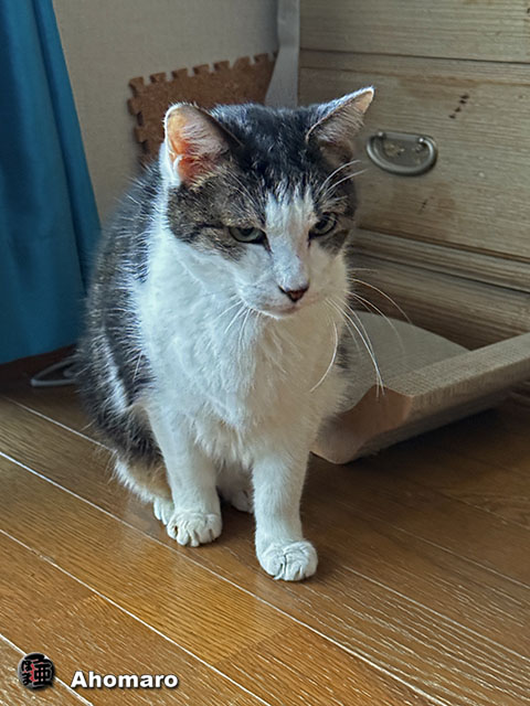ʐ^00