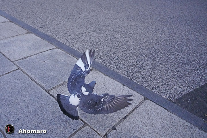 ʐ^00