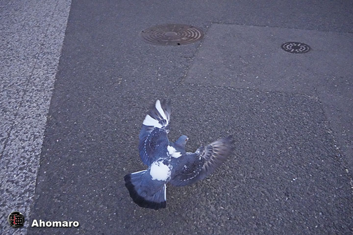 ʐ^00