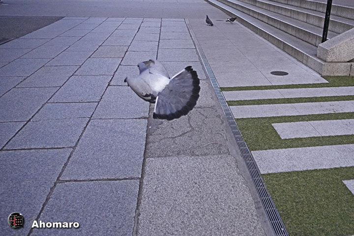 ʐ^00