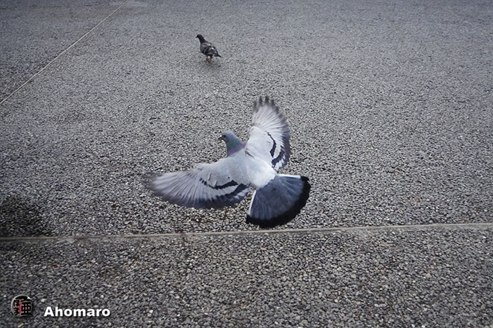 ʐ^00