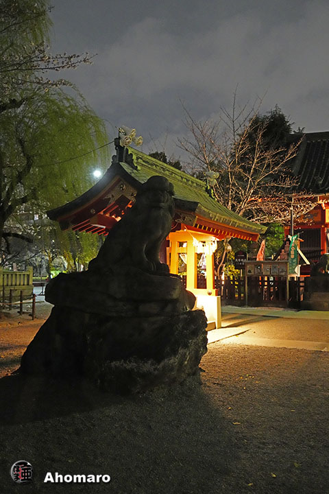 写真00