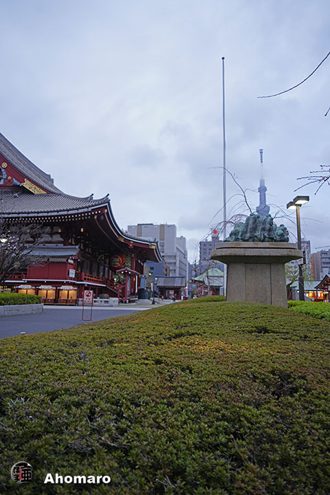 写真00