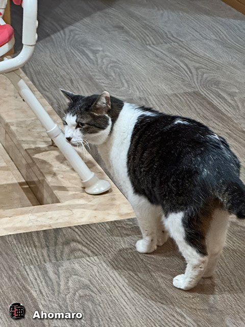 ʐ^00